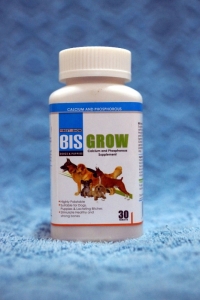 Bis Grow Calcium 30 Tab