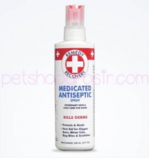 Remedy + Recovery - Medicated Antiseptic Spray 