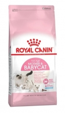 Makanan Kucing ROYAL CANIN MOTHER & BABYCAT 4 kg
