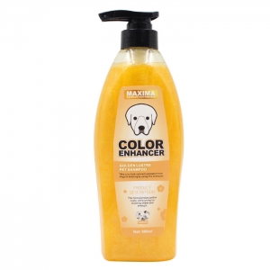 Shampoo Anjing Maxima Golden Luster Colour Enhancer 600ml